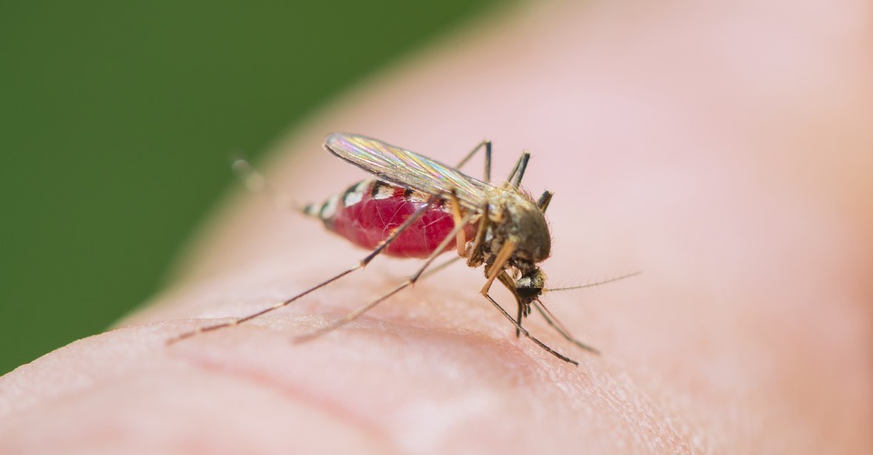 drone florida keys mosquito preventie drones