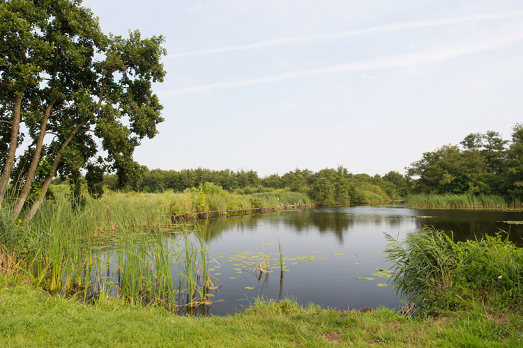 Ankeveensche plassen gefilmd met DJI Phantom 4