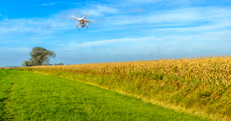 Hakselen van Maïs in 4K gefilmd met DJI Phantom 3 Professional