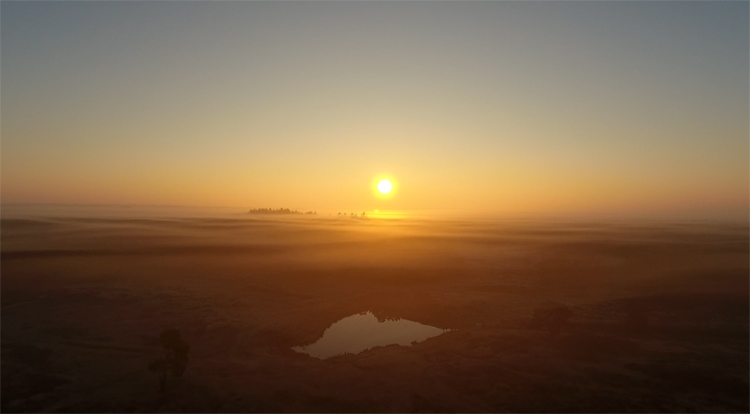 Jelte Keur filmt mistig bos net buiten Zeist