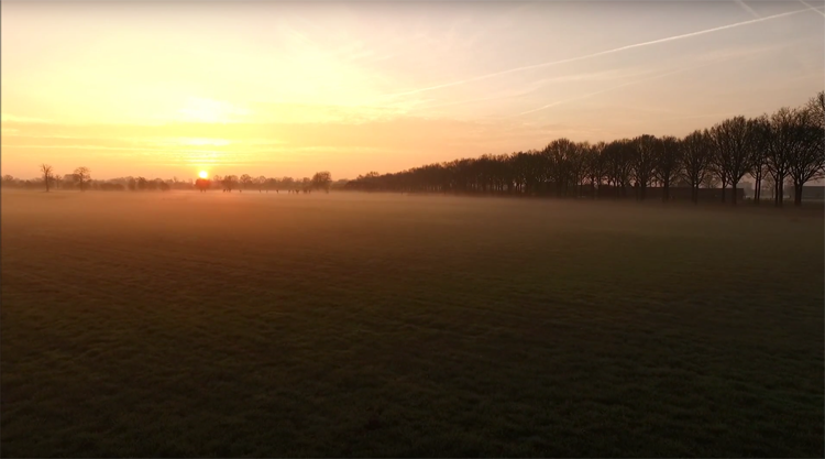 DJI Phantom 3 Advanced filmt zonsopkomst en Henschotermeer