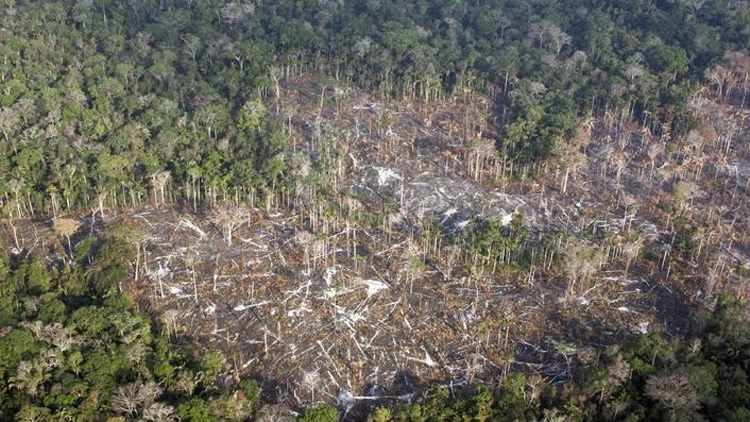 Dronebeelden tonen geïsoleerde stam in Brazlië